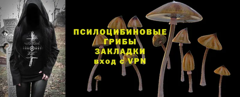 Галлюциногенные грибы Psilocybine cubensis  hydra зеркало  Большой Камень  купить наркотики сайты 